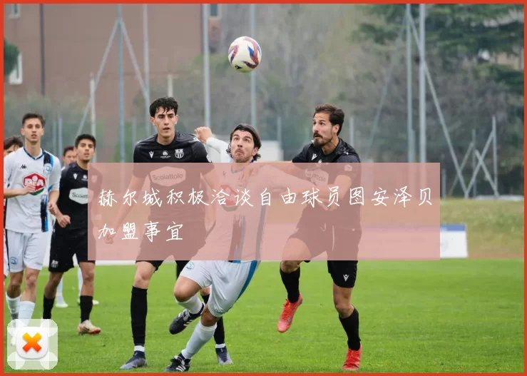 赫尔城积极洽谈自由球员图安泽贝加盟事宜