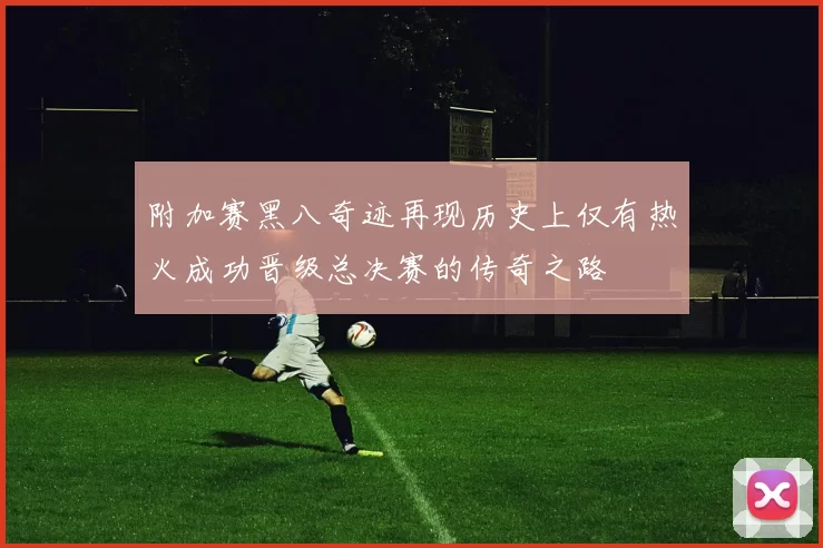 附加赛黑八奇迹再现历史上仅有热火成功晋级总决赛的传奇之路